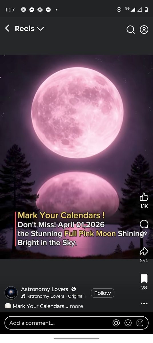 sarah_butl86004's tweet image. When I trust God On #ChristmasDay Collectibles with that pretty star Okay thank you Lord for texting me And protecting me from the #werewolves