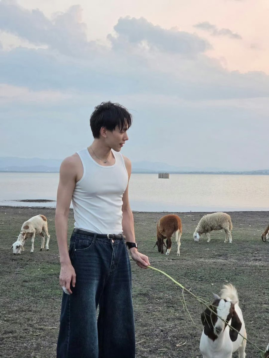 beyourNUBDAO⭐️ tweet media