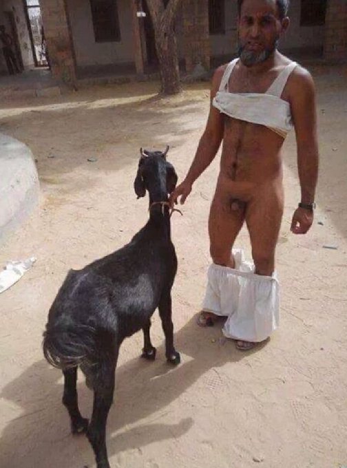 Punkybrain Susanne the only tweet media