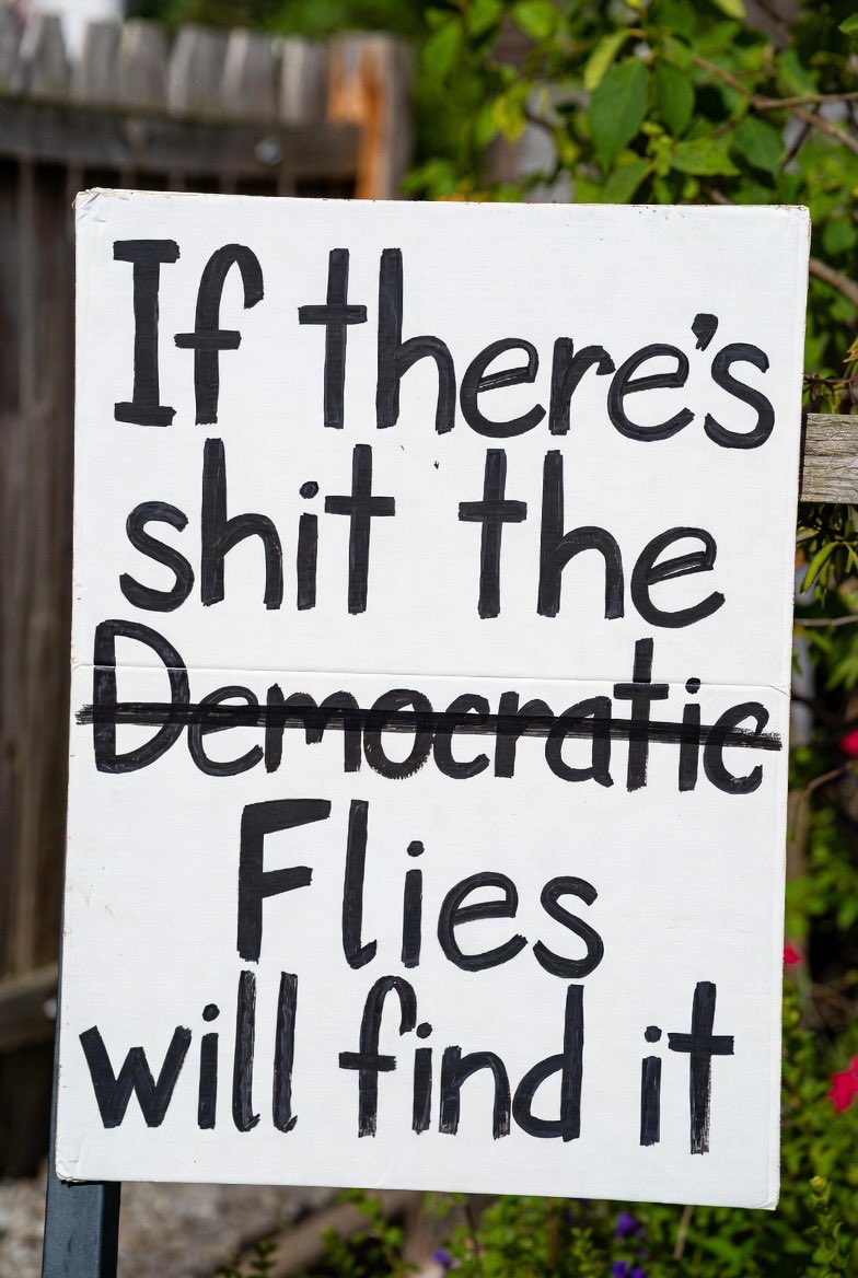 IcyGator tweet media