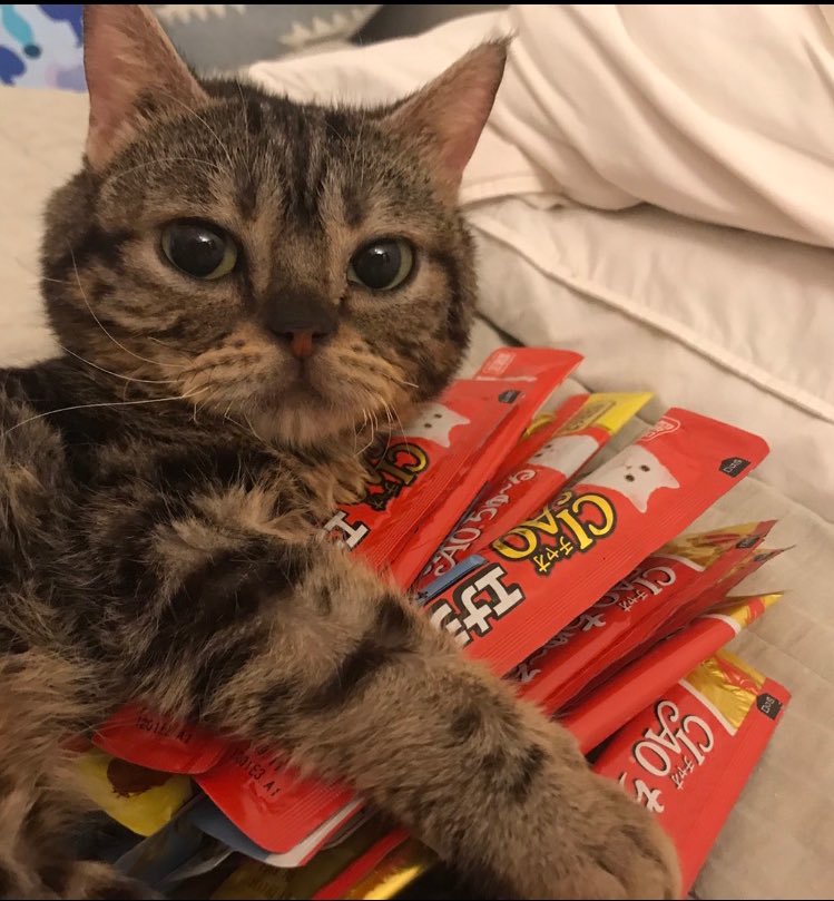 伊吹𓐃 tweet media