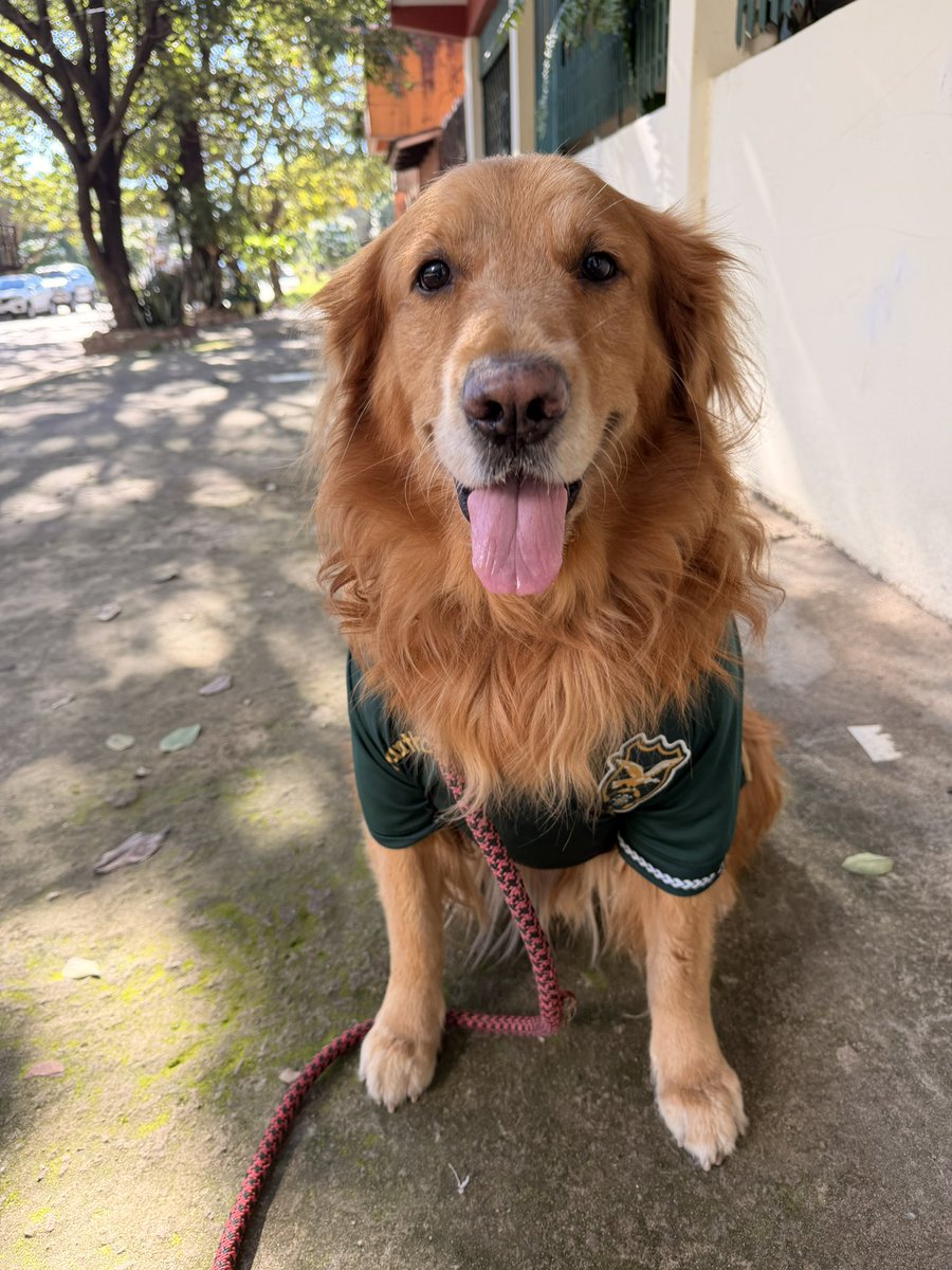 Hipermoi tweet media