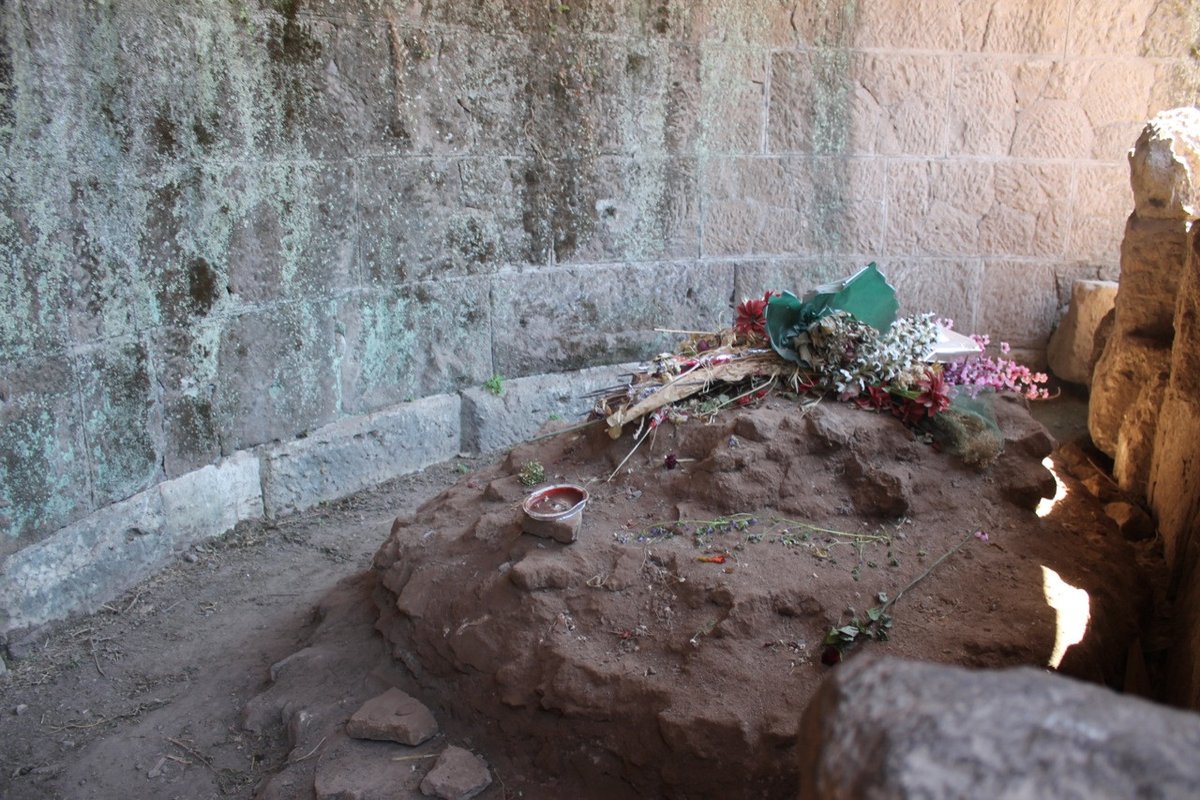 Unpaid Observer tweet media