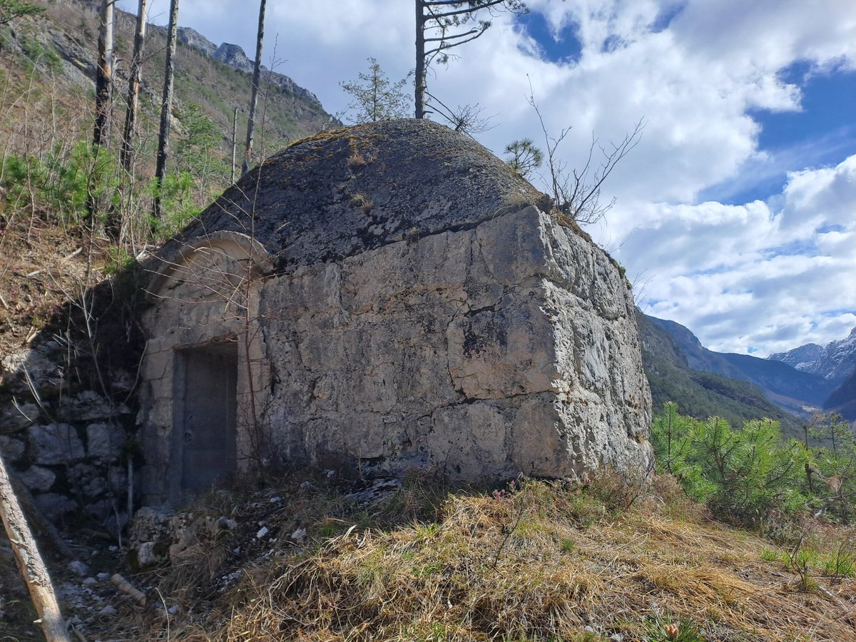 Roberto Bertoli tweet media