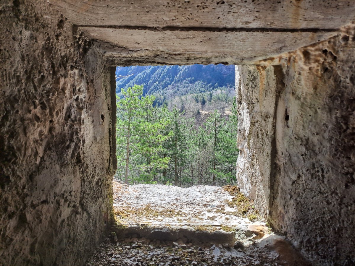 Roberto Bertoli tweet media