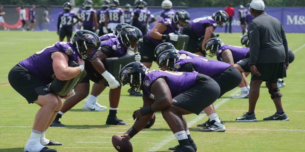 The Ravens Wire tweet media