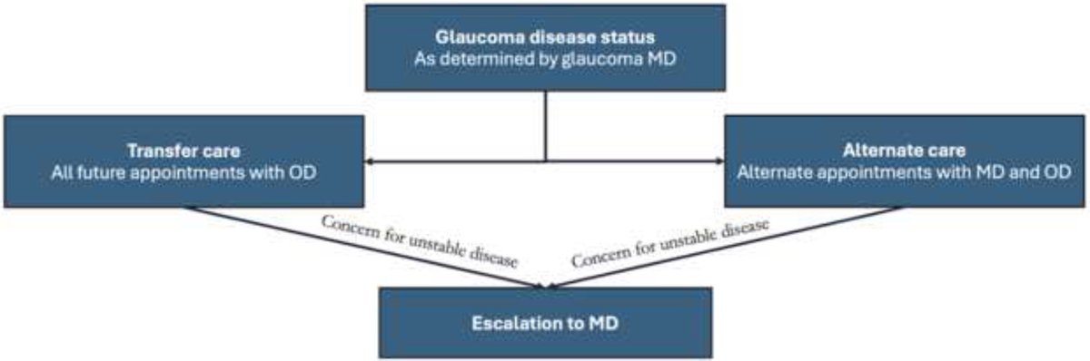 AAOjournal's tweet image. Ophthalmologist and Optometrist Co-management Model for Glaucoma: Outcomes from a Single Tertiary Care Health Center
ow.ly/cjo650Yp4wQ
#ophthalmology #glaucoma