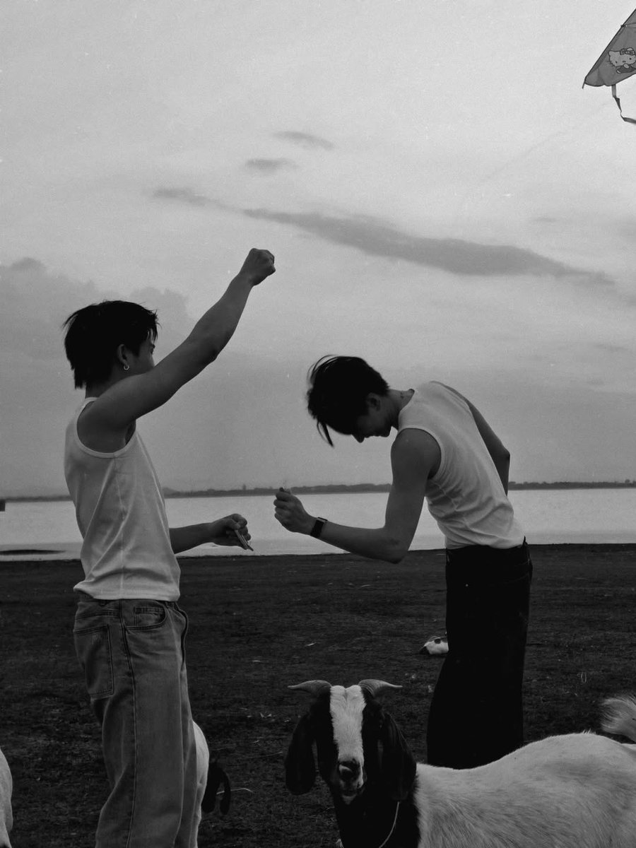 beyourNUBDAO⭐️ tweet media