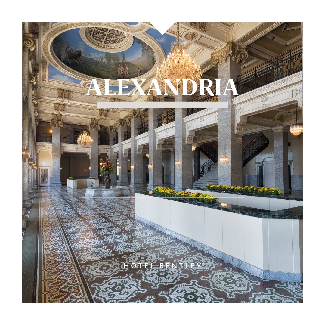 Group Travel Leader tweet media