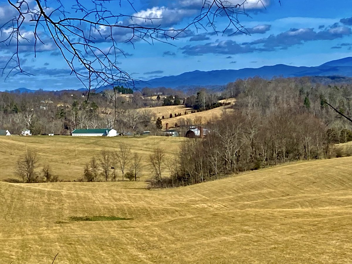 The Appalachian Podcast tweet media