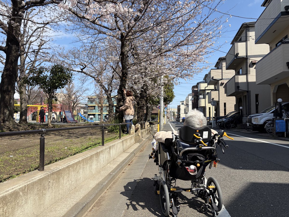 e_oneline's tweet photo. 母が先週の金曜日に桜を見上げて微笑み、日曜日の朝に亡くなりました。
このXにおいて、今まで温かいお言葉を掛けて頂いたのでご報告させて頂きました。ありがとうございました。
その日の夜から柔術の練習を再開し、参加を迷っていた大会のエントリーをしました。
綺麗な桜でした。
#要介護 #在宅介護 https://t.co/F3L5x1ASBe