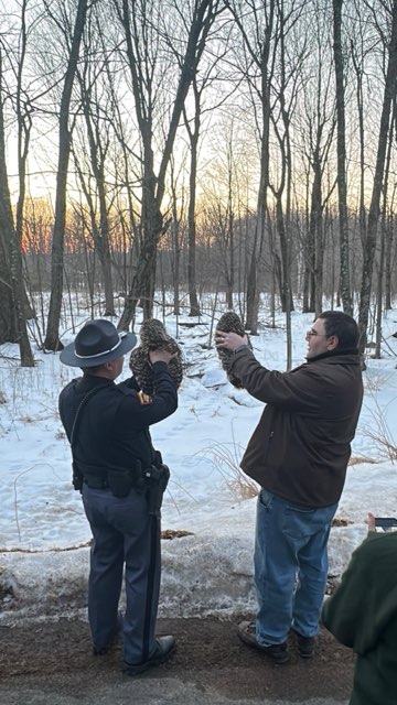 wistatepatrol's tweet image. Trooper Freiberg helped release a barred owl he found injured last fall. After rehab with Raptor Education Group, Inc., the owl recovered, cared for another patient, and was released alongside a companion. 
. 
. 
#TrooperTuesday #Service #Compassion