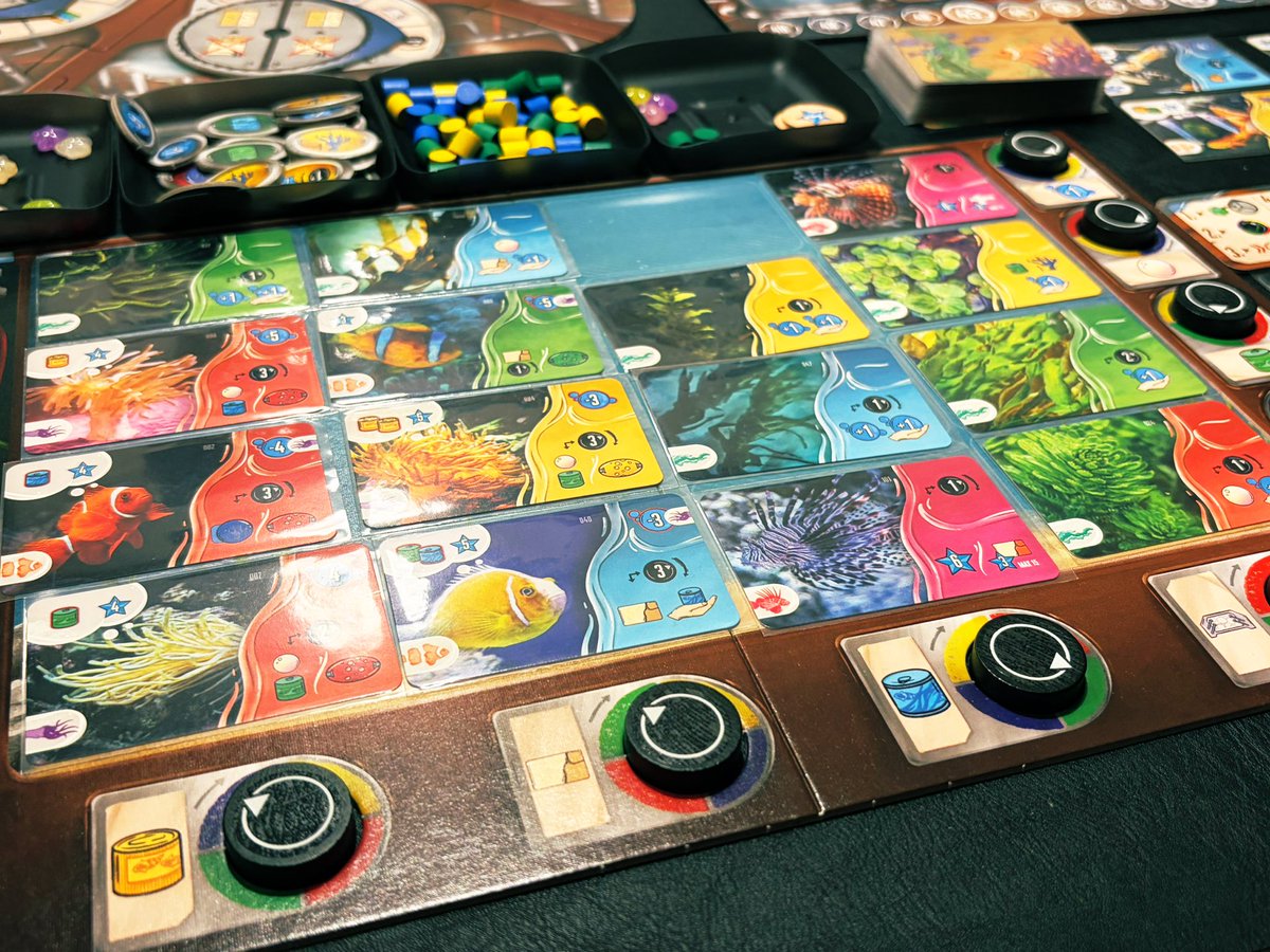 こっこ🐓陽だまりの人 tweet media