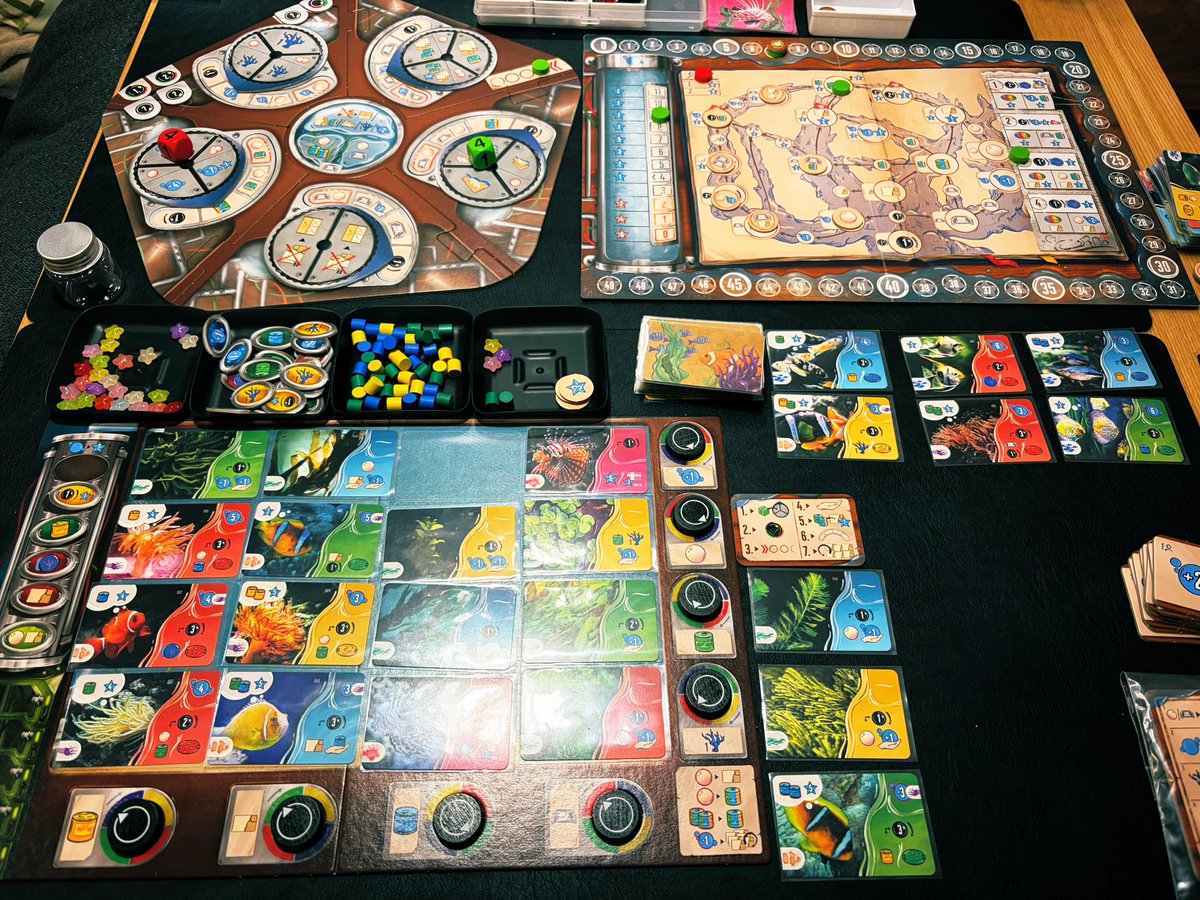 こっこ🐓陽だまりの人 tweet media