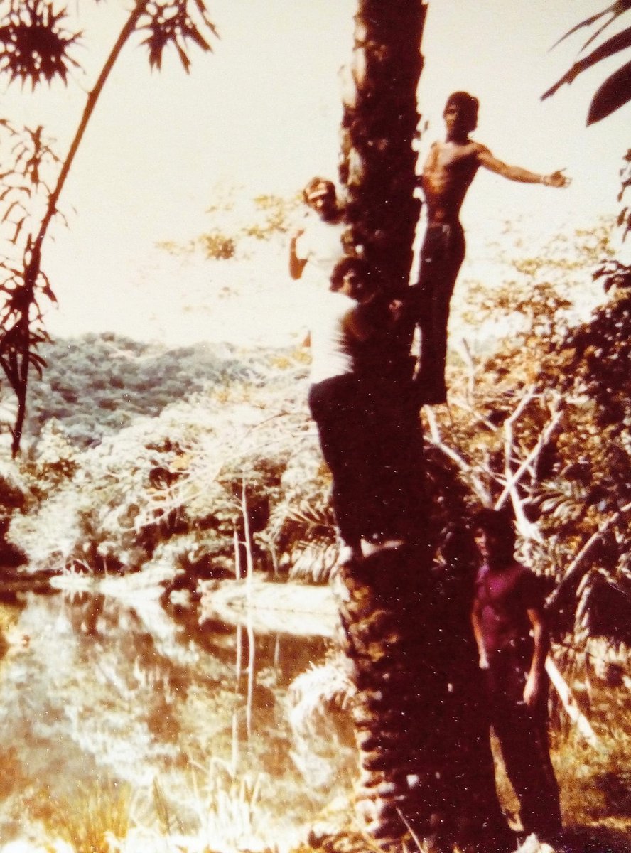 Centrojas tweet media