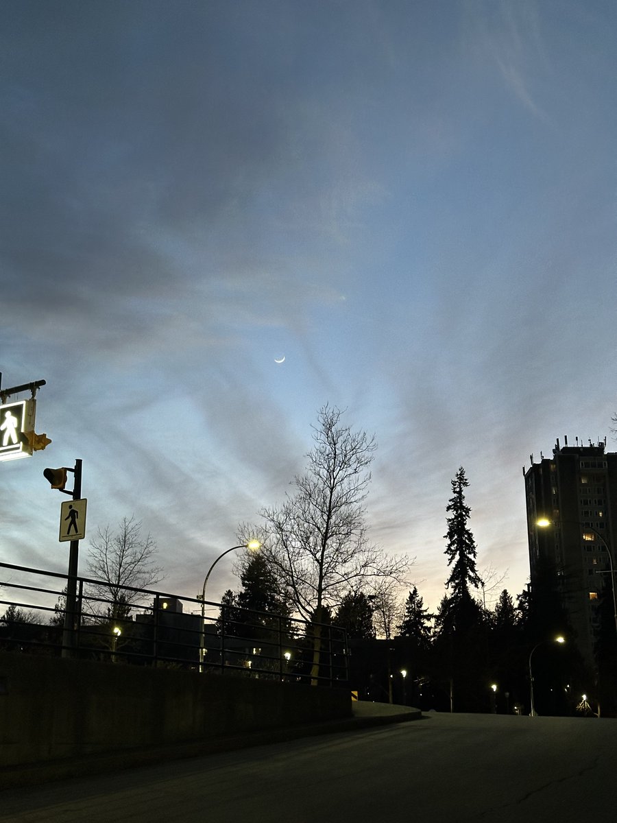 taito 💮 tweet media