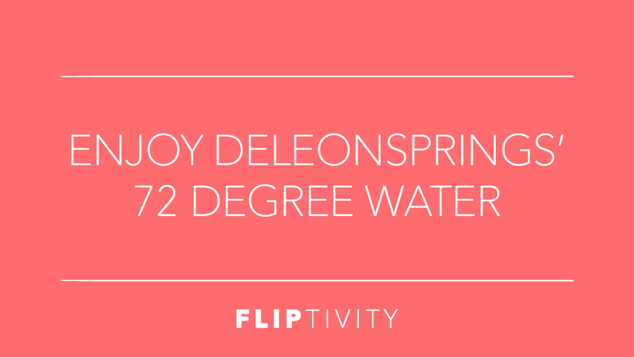 Fliptivity tweet media