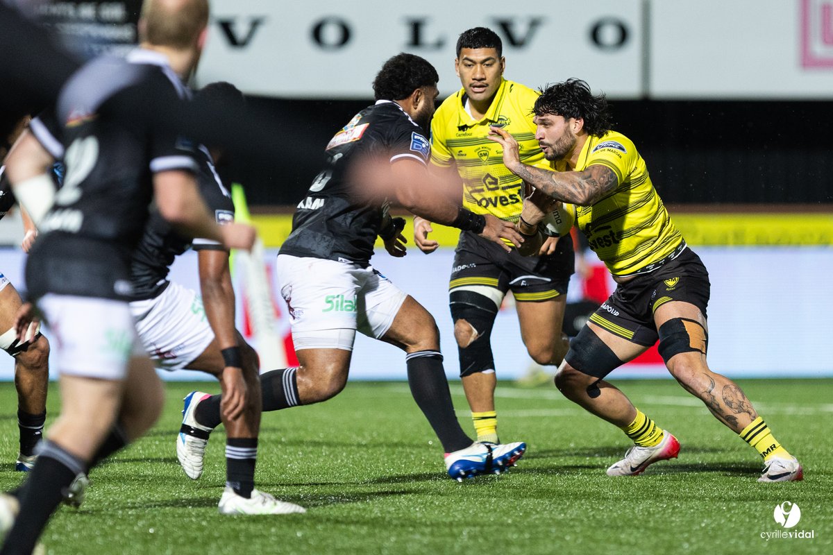 Stade Montois Rugby tweet media