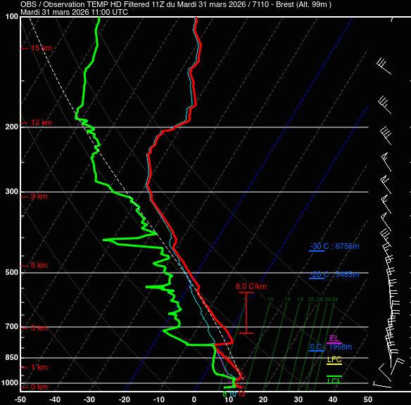 Tropo Profil tweet media