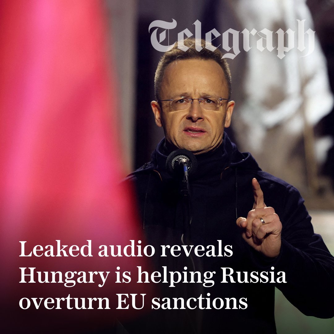 The Telegraph tweet media