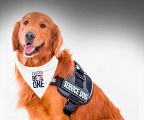 The American Legion tweet media