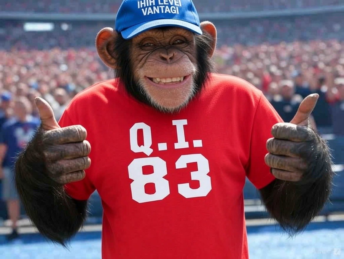 Finalizada tweet media