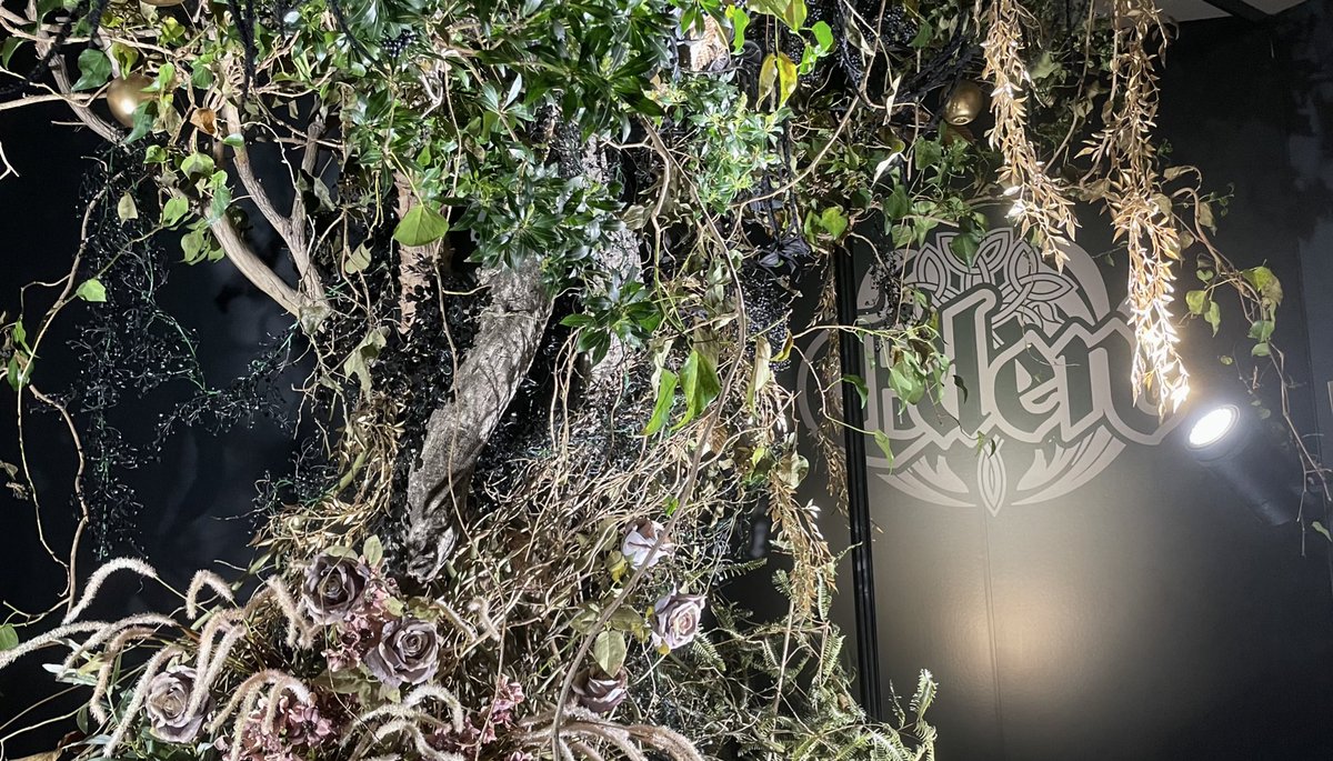 ( ･ω･)ﾉ⭑ tweet media