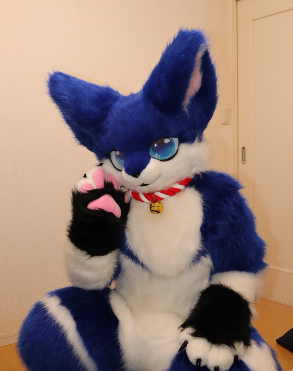 パクンチョ (@gozo_lop) / Posts / X