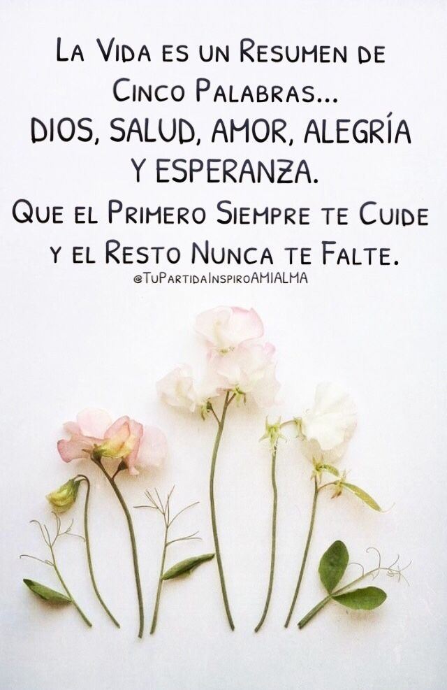 Alicia Cabral tweet media