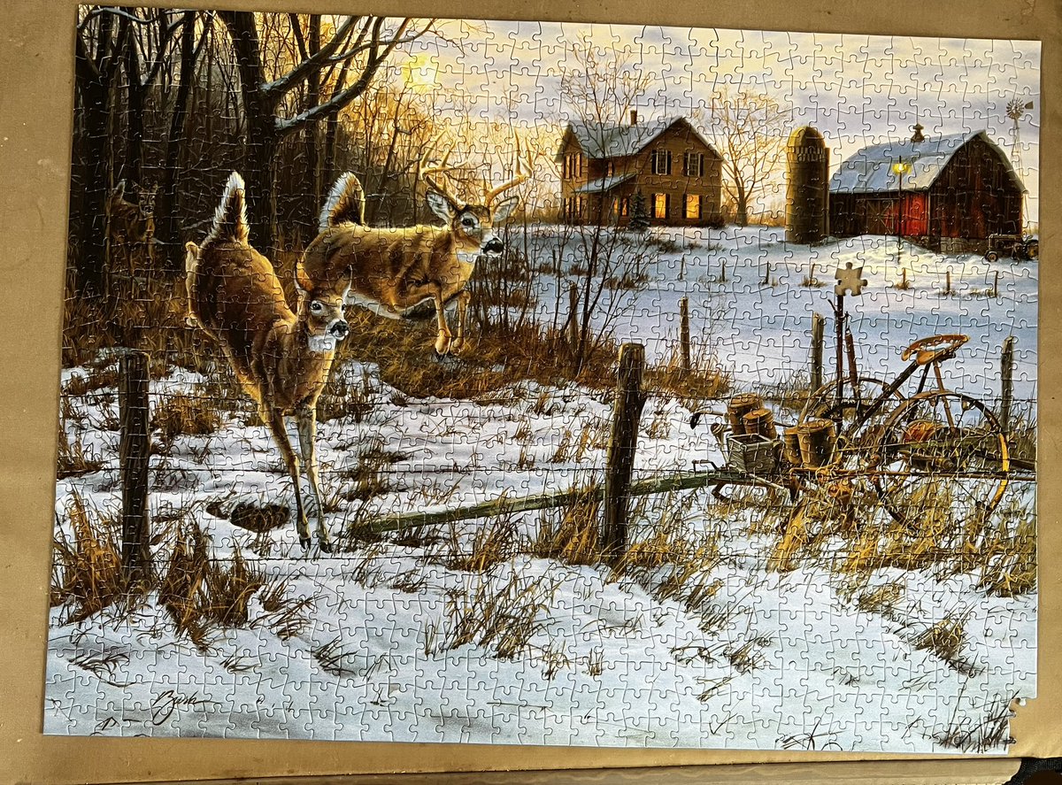 Charity Schmidt tweet media