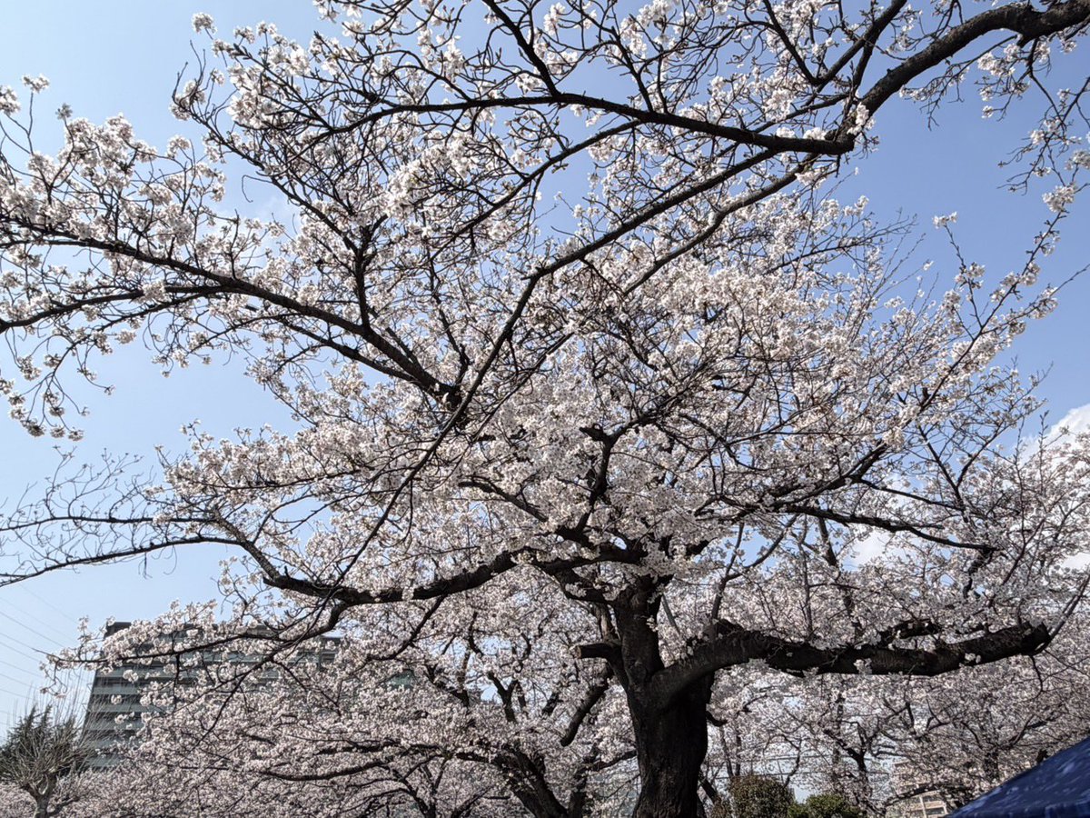 噂のちょすやよ🐾 tweet media