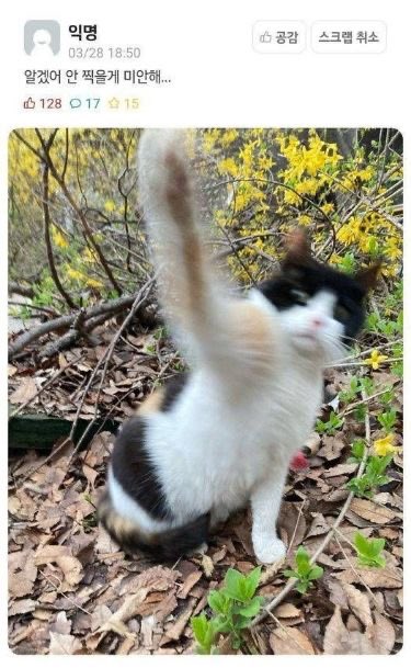 권필쌍 tweet media