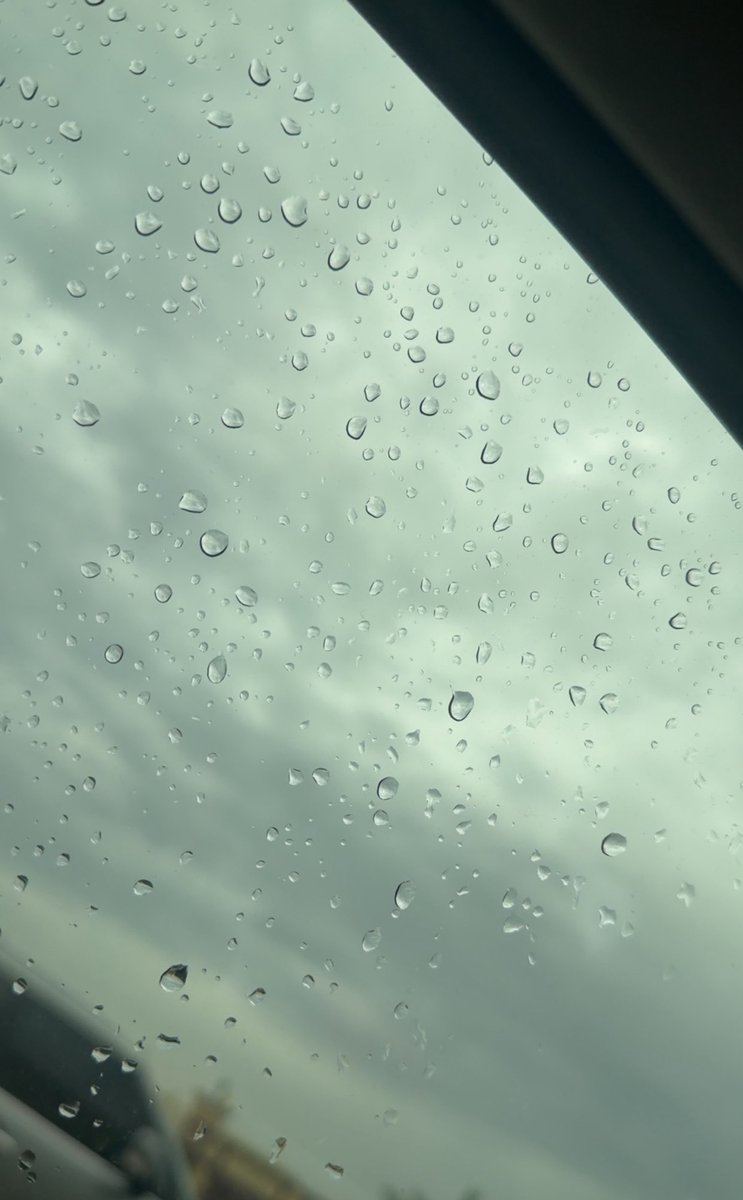 عائشة المري 💛 tweet media