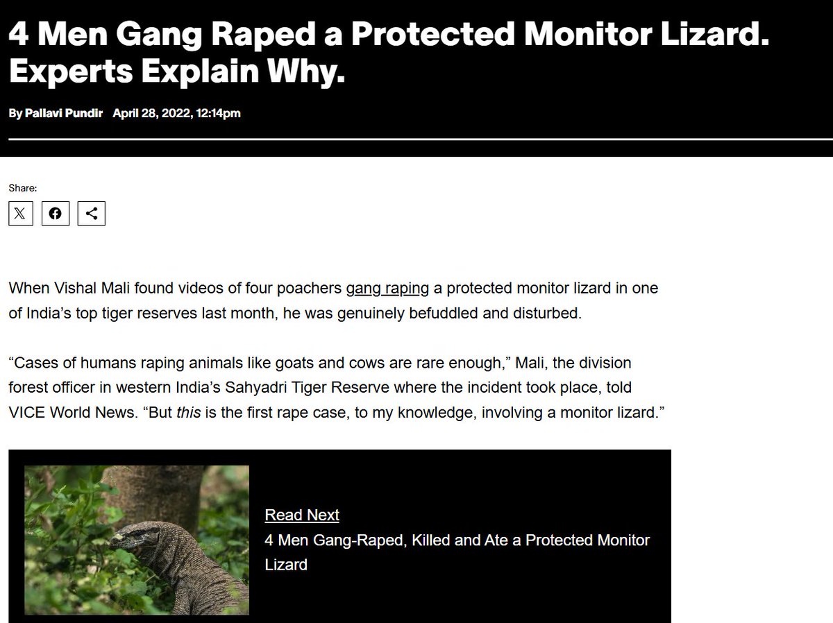 Skeletonalios tweet media