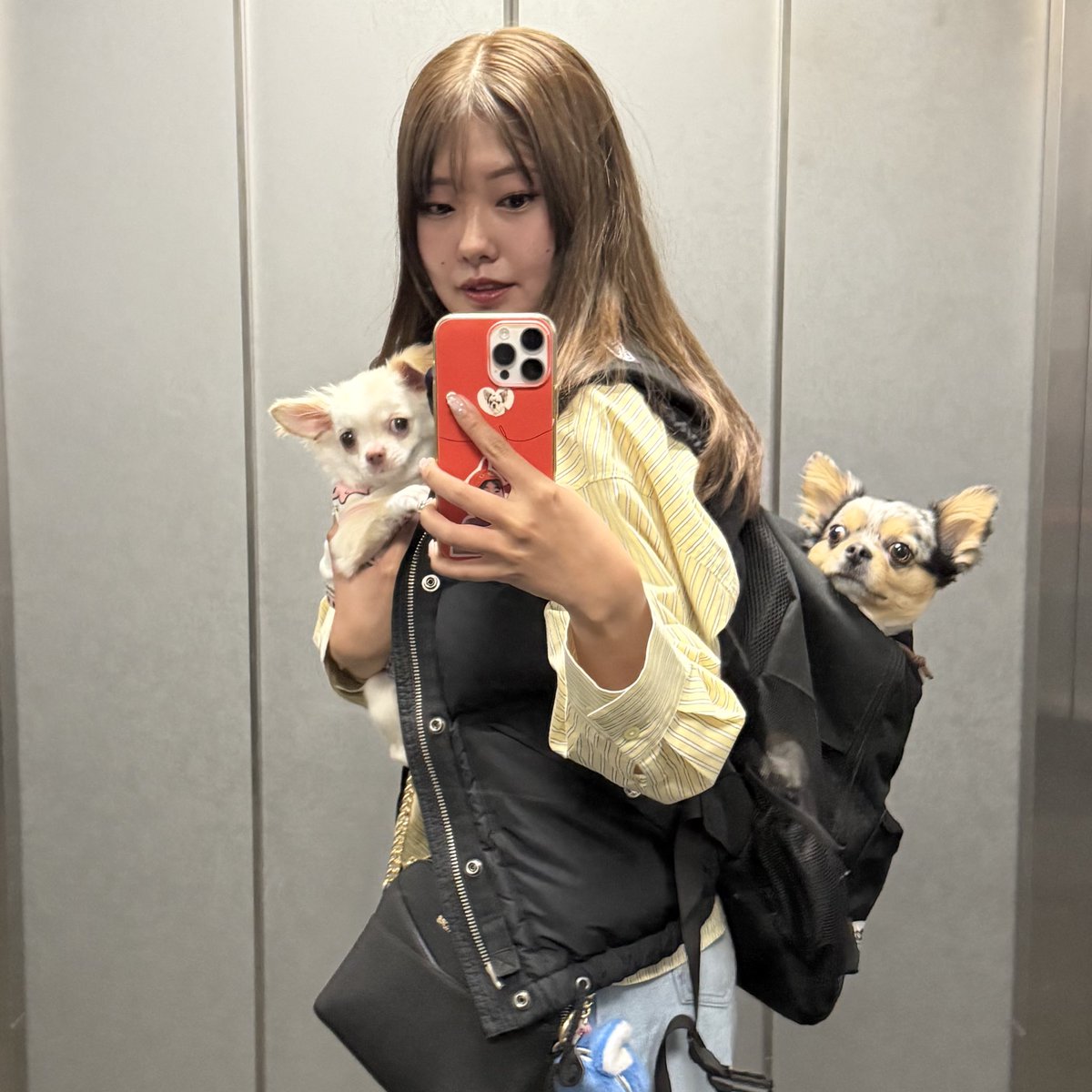 たなまゆ🦌♨️ tweet media