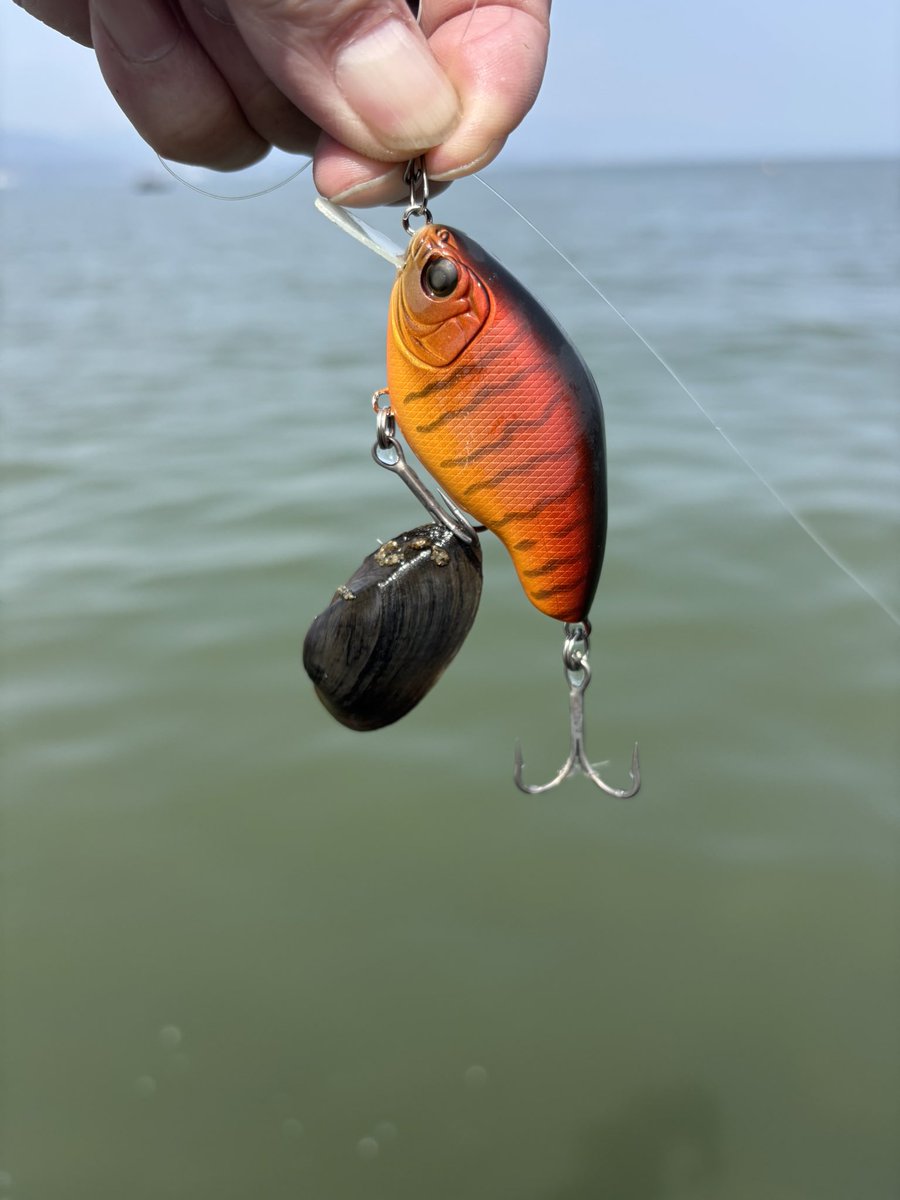 稲吉 良介 tweet media