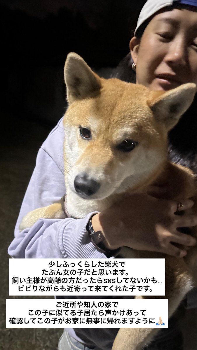 Minato_Oike tweet media