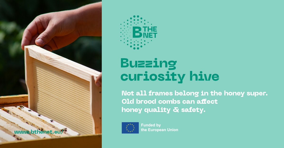 B-THENET tweet media