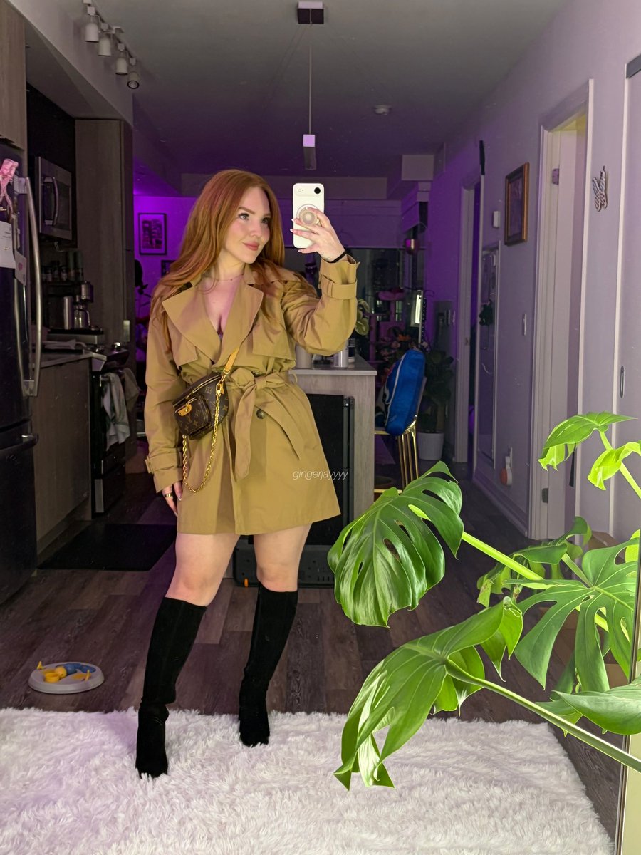 gingerjay tweet media