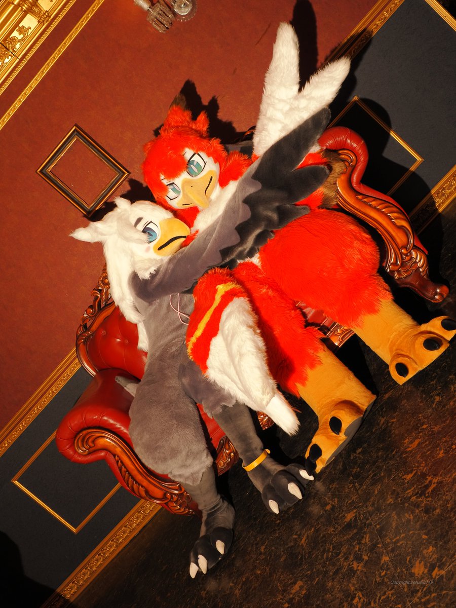 ゼルエル＆ロータス tweet media