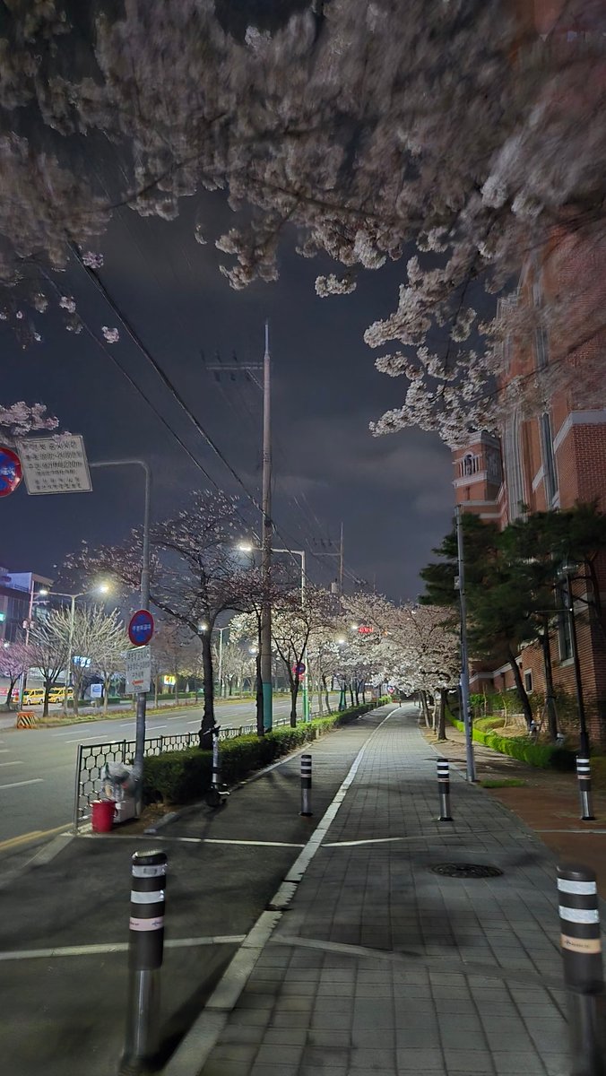 ㅎiㄹㄹiㅇ tweet media