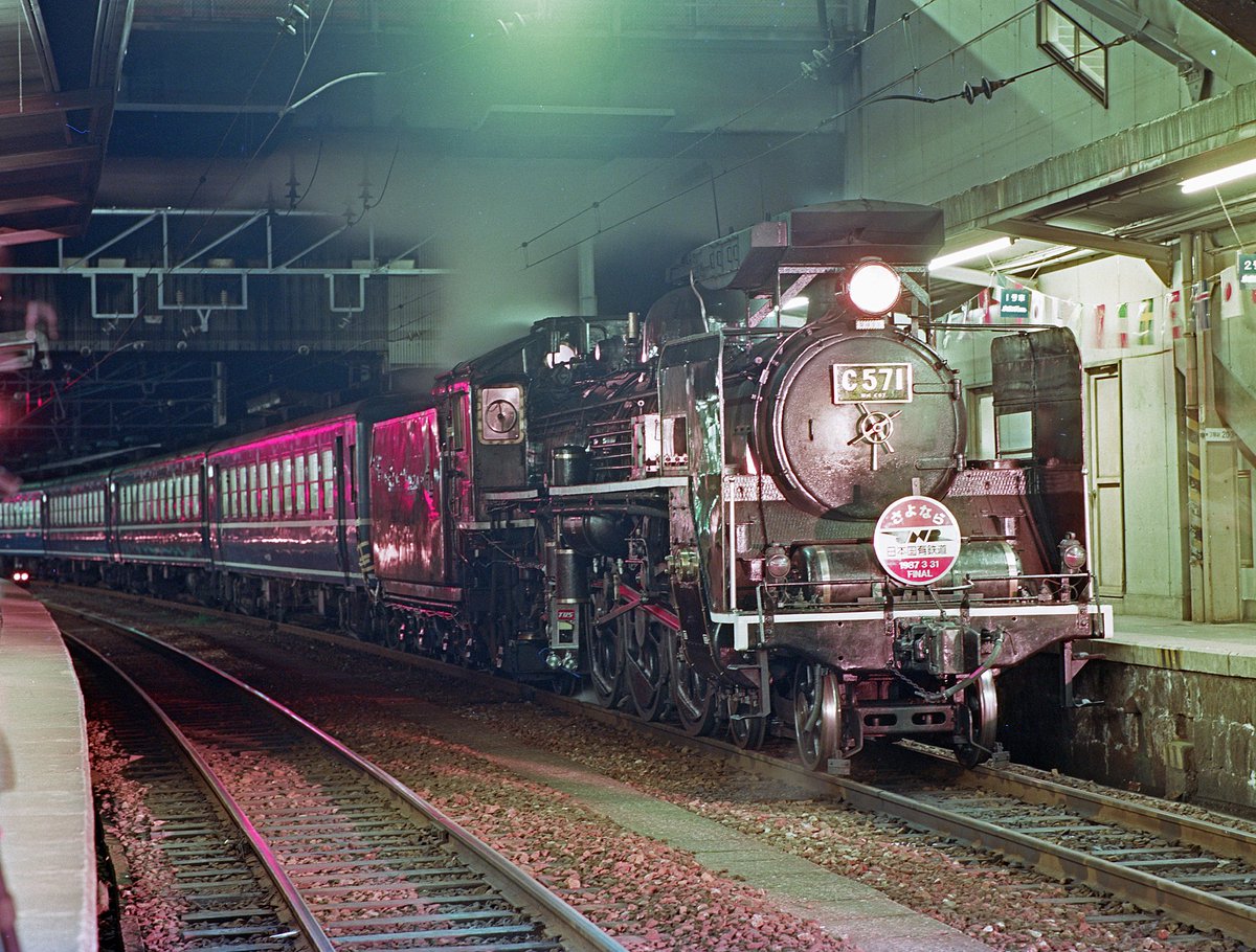 GORDONピロシ☆彡 tweet media