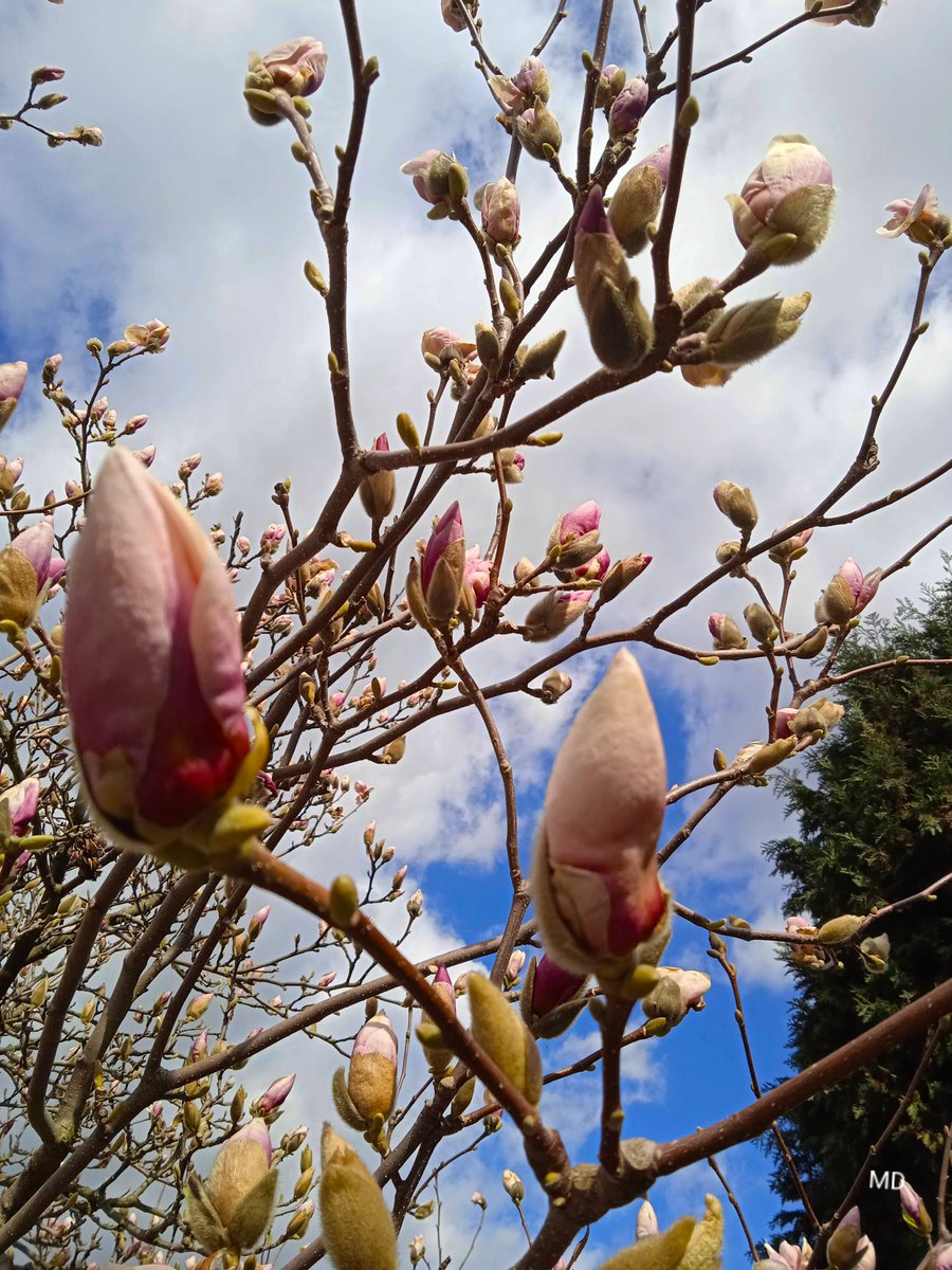 Martina Dvorská tweet media