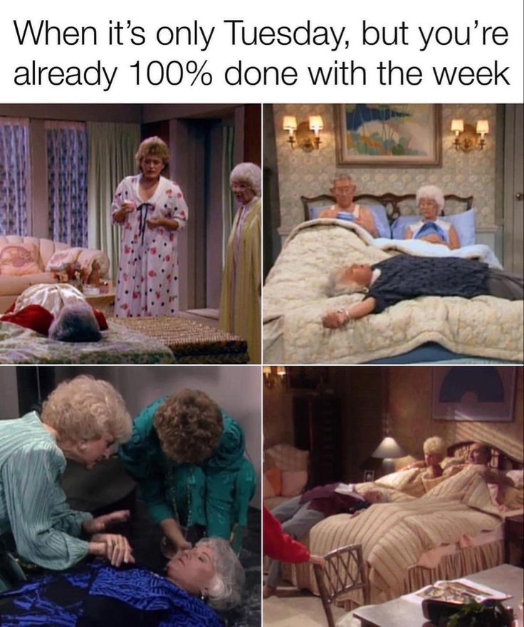 Golden Girls fan account tweet media