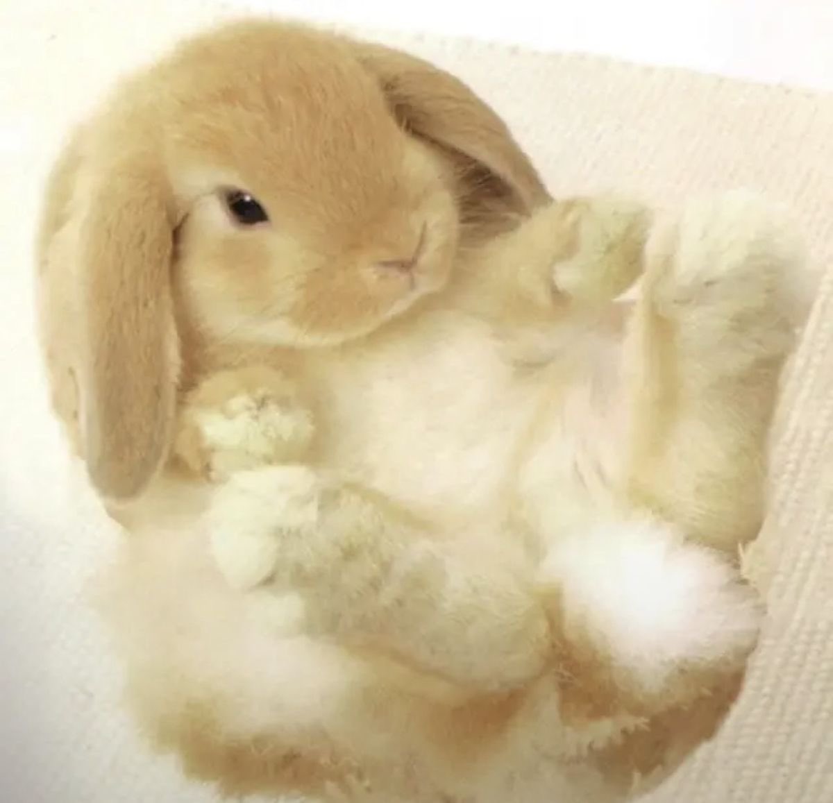 brandon 💌𑣿🪽 tweet media