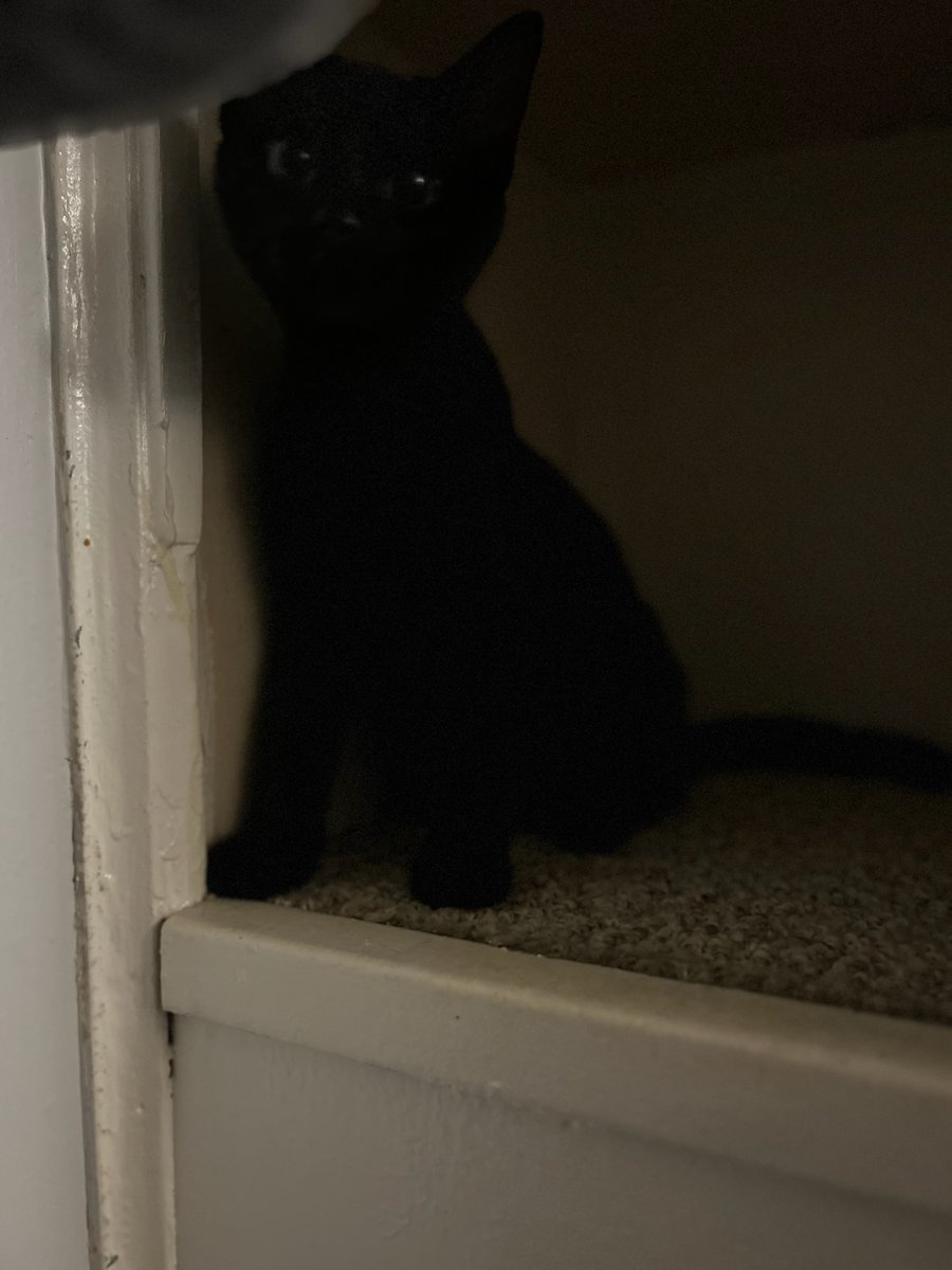 Ryan Andry tweet media