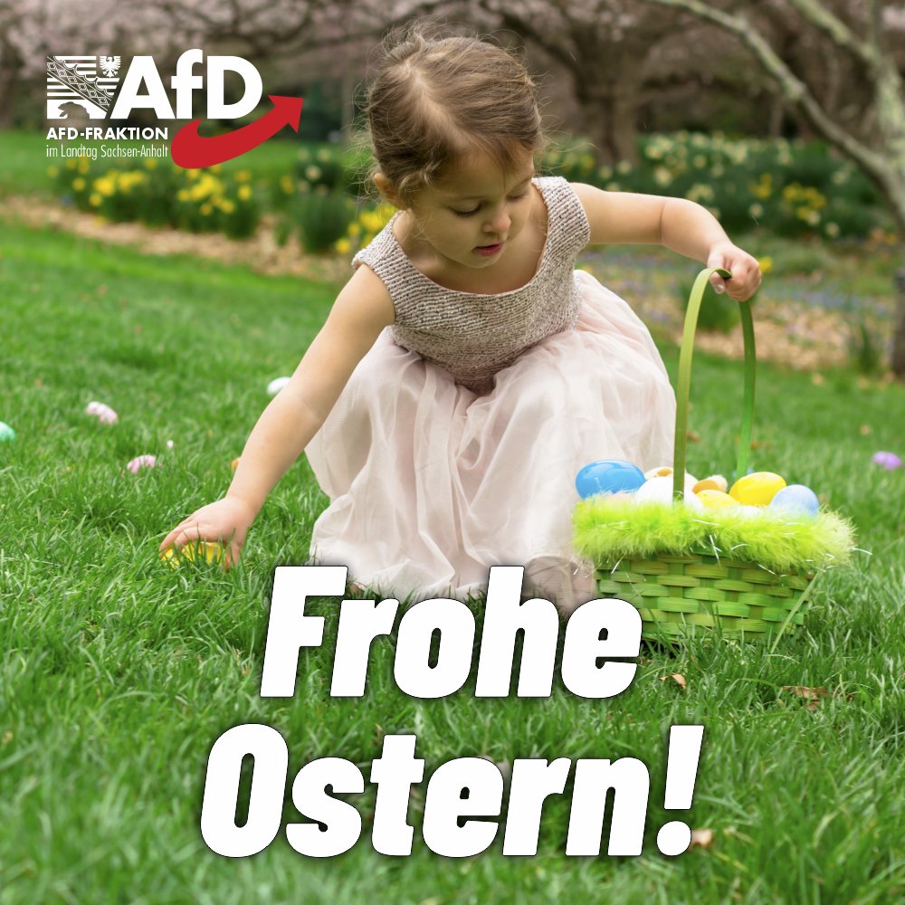 AfD-Fraktion LSA tweet media