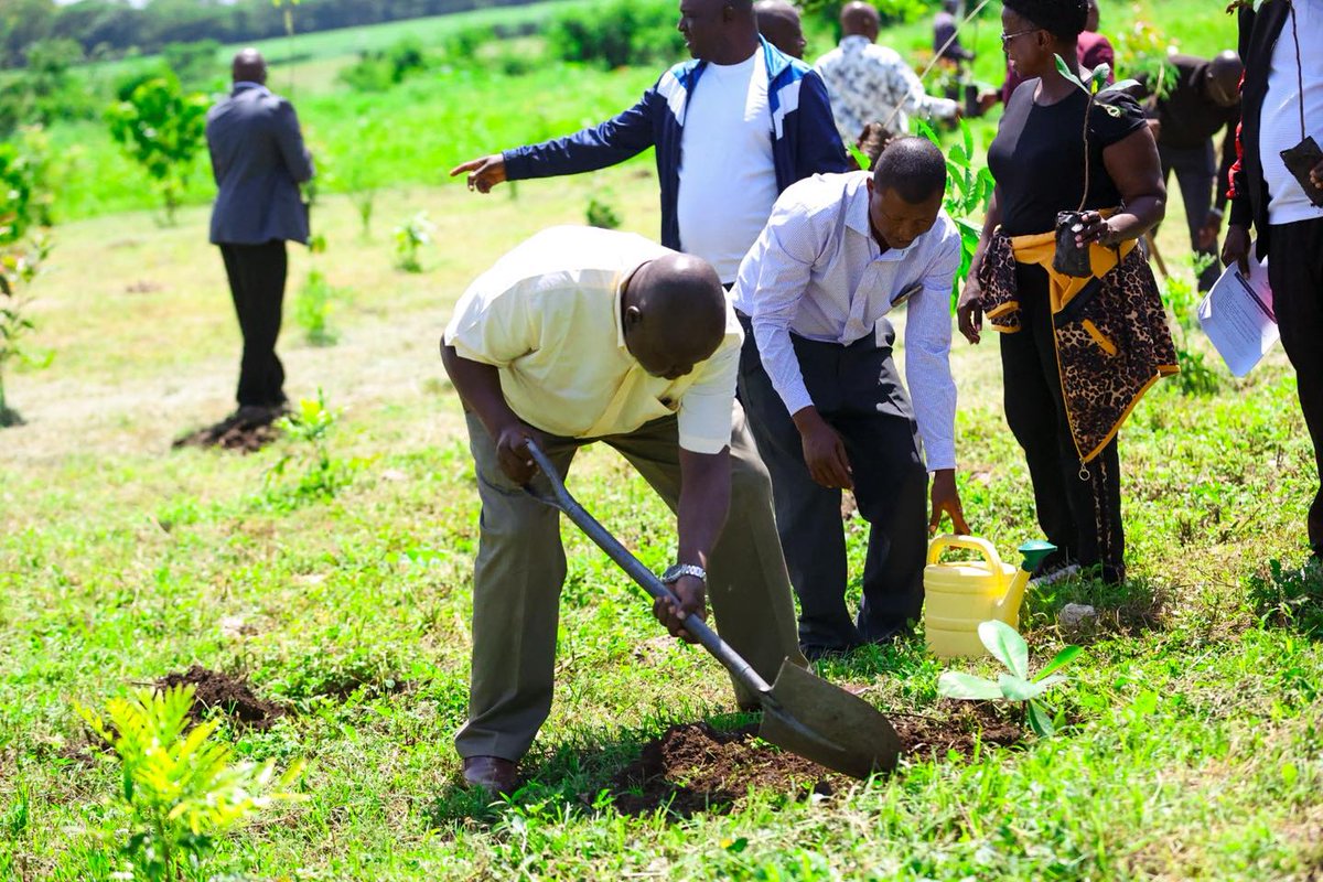 Tom Mboya University tweet media