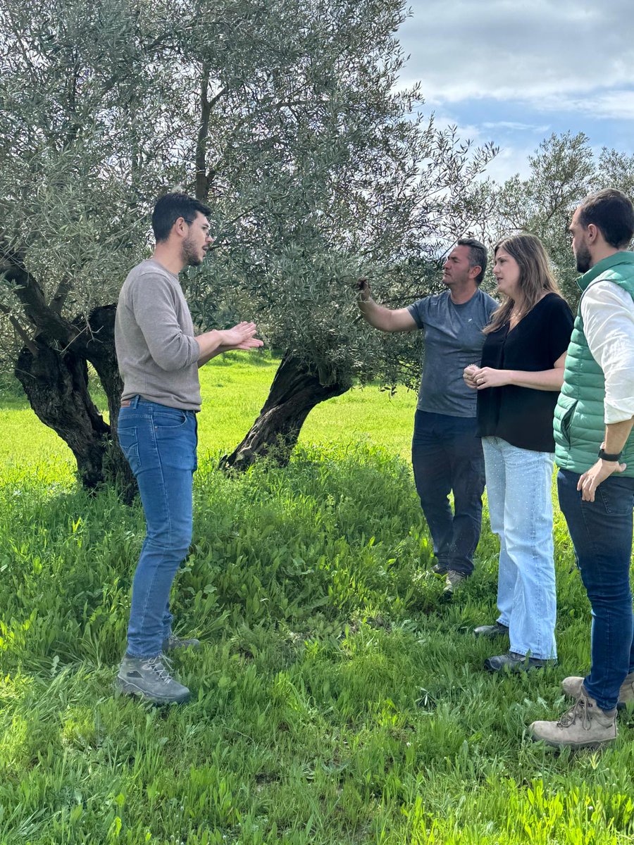 citoliva tweet media