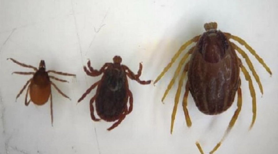 Ольга Грашина tweet media